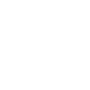 SDPT Academy Logo